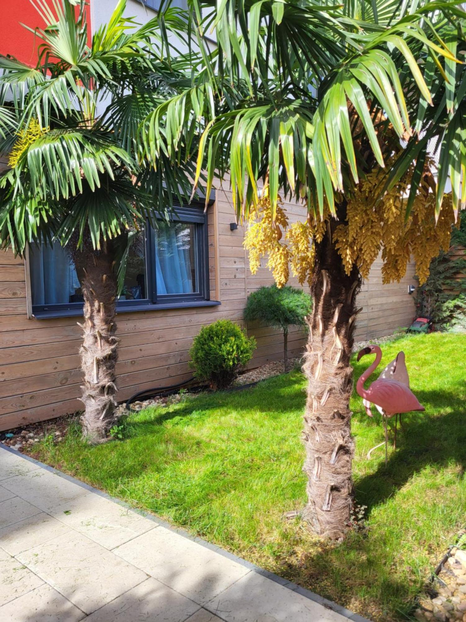 Sika Garden * Arad